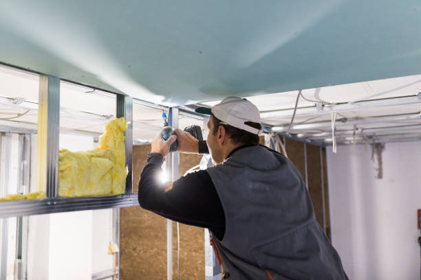 Best Residential Insulation in Nambe, NM